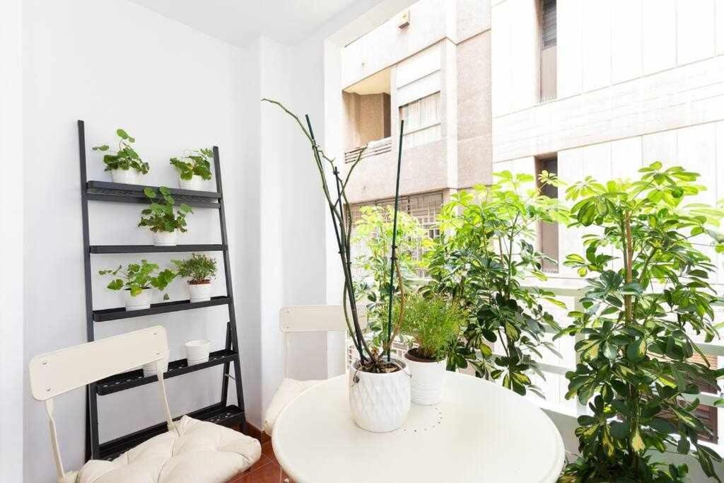 Sabino Dreams Santa Cruz Apartment Exterior photo