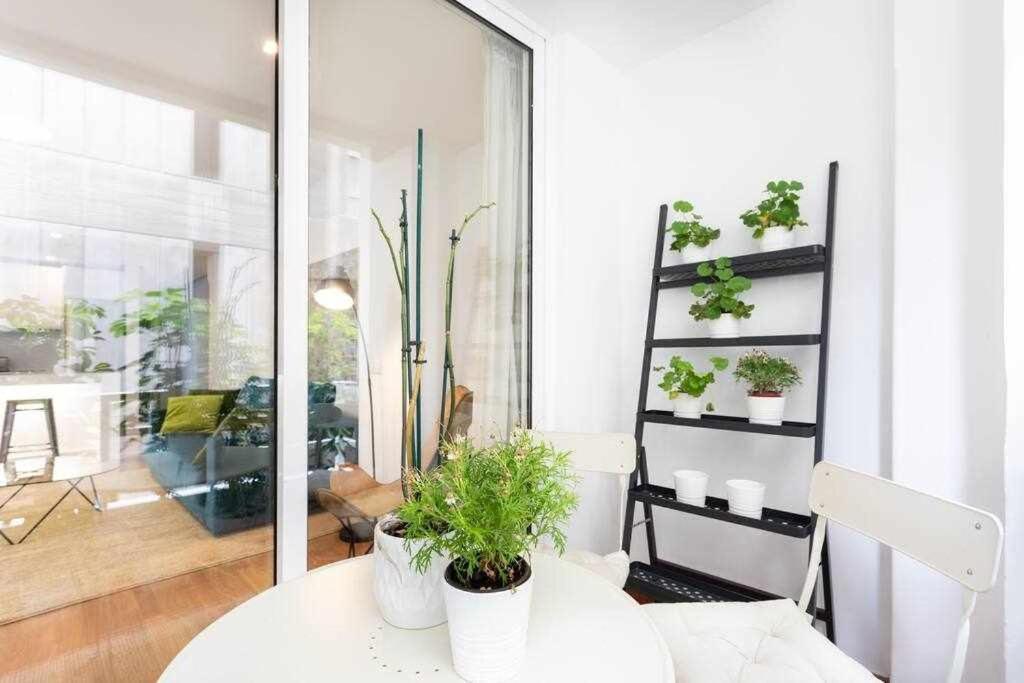 Sabino Dreams Santa Cruz Apartment Exterior photo
